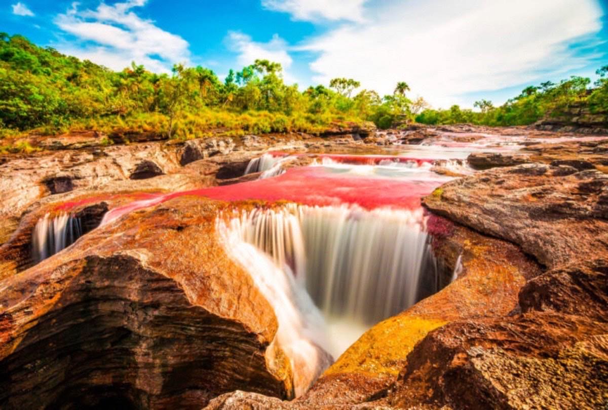 Caño Cristales