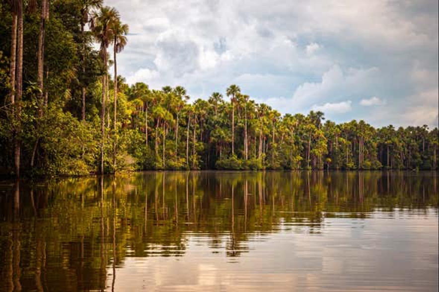 Puerto Maldonado, Perú