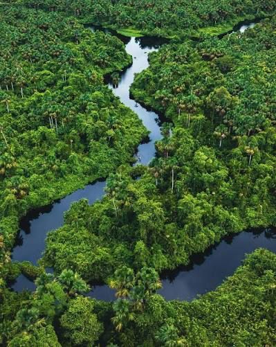 Delta del Orinoco